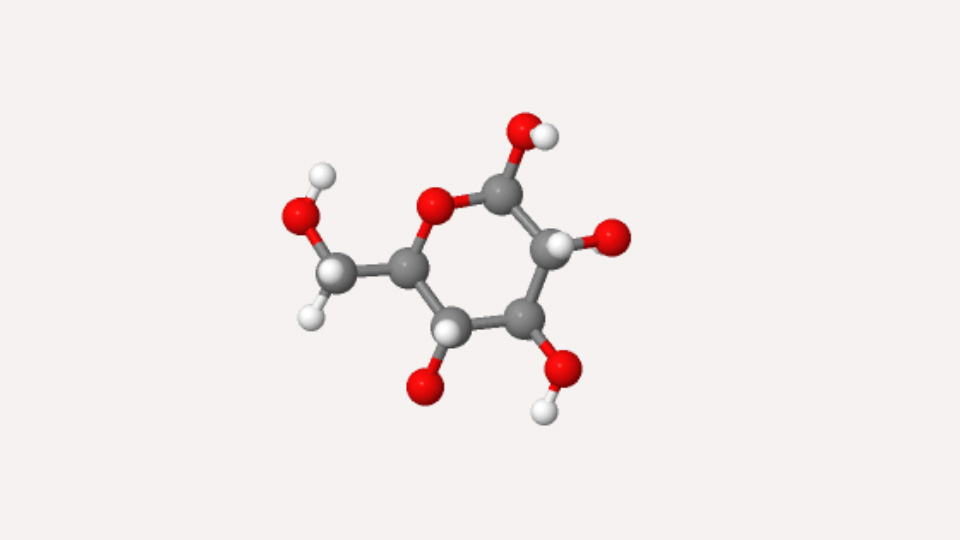 molecular model