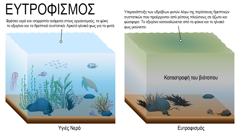 eutrophication2