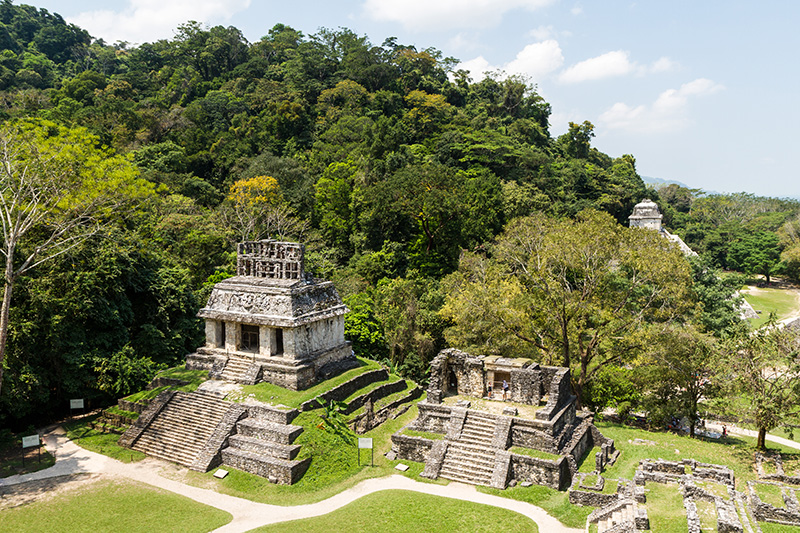 Mayan ruins in Palenque, Chiapas, Mexico