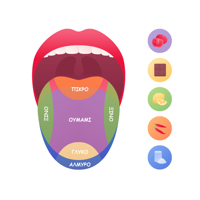 Οι γεύσεις στην γλώσσα