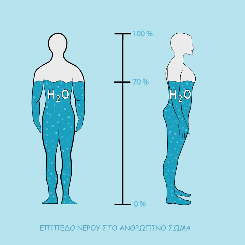 water Human Body